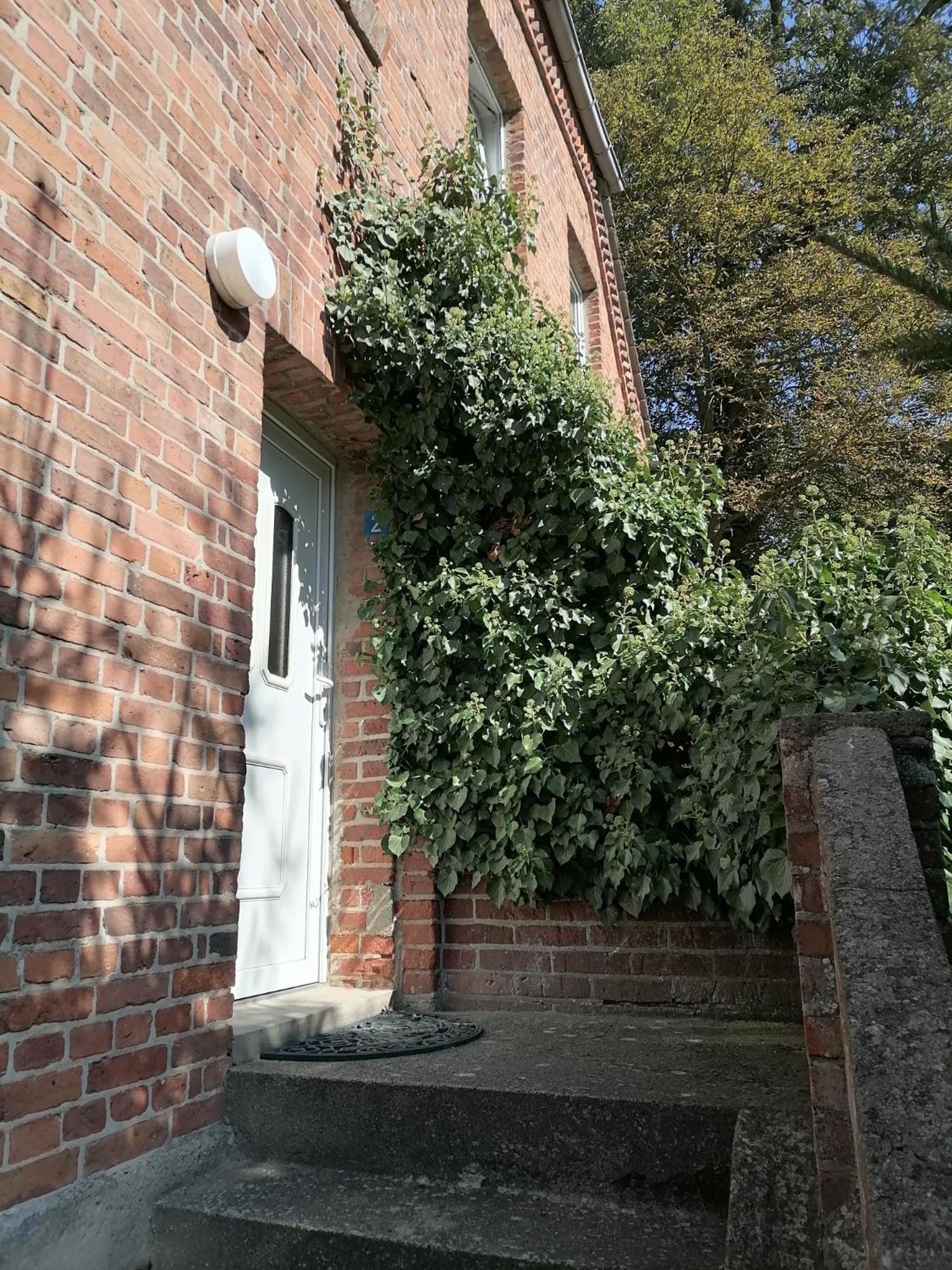 Gutshaus Daemelow Tussen Schwerin En Wismar Ngoại thất bức ảnh