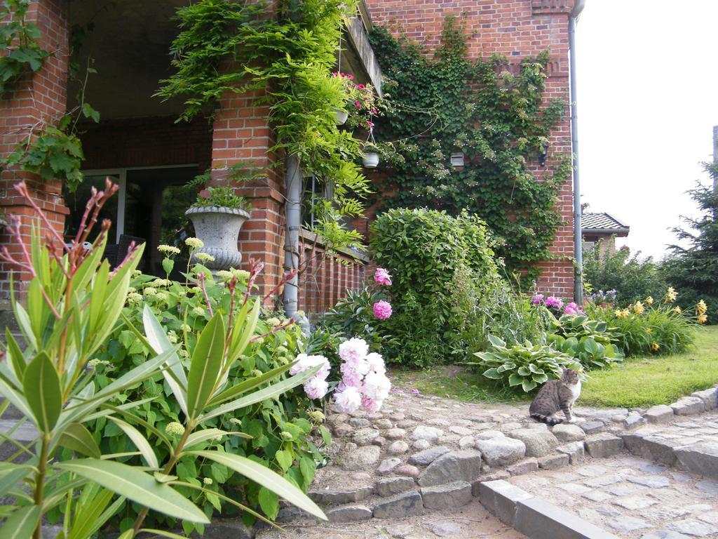 Gutshaus Daemelow Tussen Schwerin En Wismar Ngoại thất bức ảnh